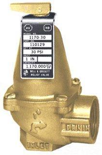1170-100 ASME Relief Valve