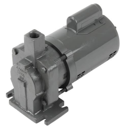 Watchman B-Style Pump & Motor .33 HP 3500
