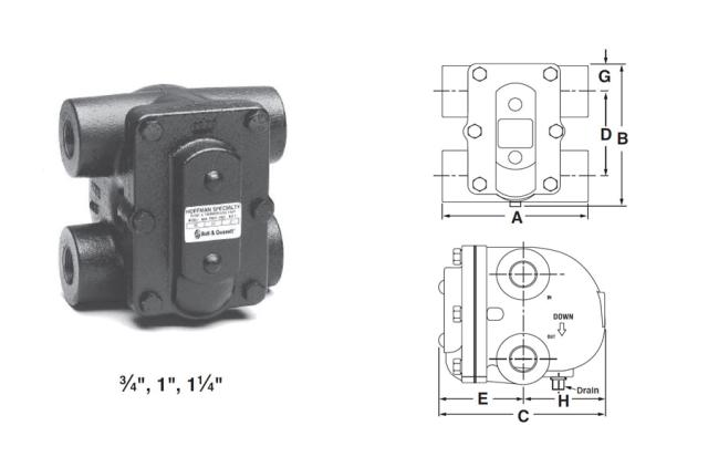 FT175H F&T Trap 1 IN. H Pattern